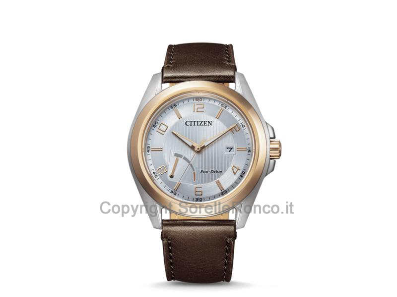 CITIZEN OF COLLECTION ARGENTO 43MM PELLE MARRONE
