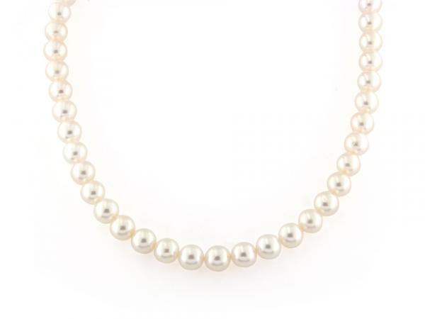 CF00892 - Filo di Perle Akoya Bianche 7 - 7.5 mm