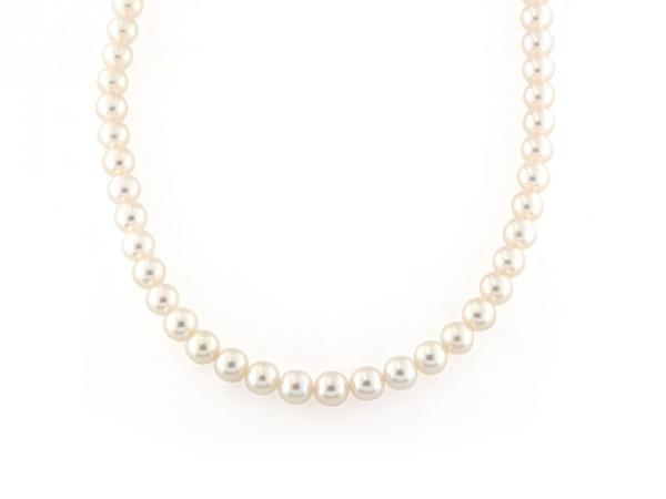 CF00894 - Filo di Perle Akoya Bianche 6.5 - 7 mm