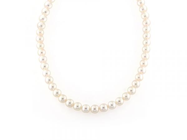 CF00895 - Filo di Perle Akoya Bianche 6 - 6.5 mm
