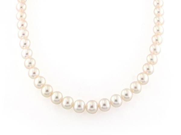 CF00948 - Filo di Perle Bianche Rotonde 10-15 mm