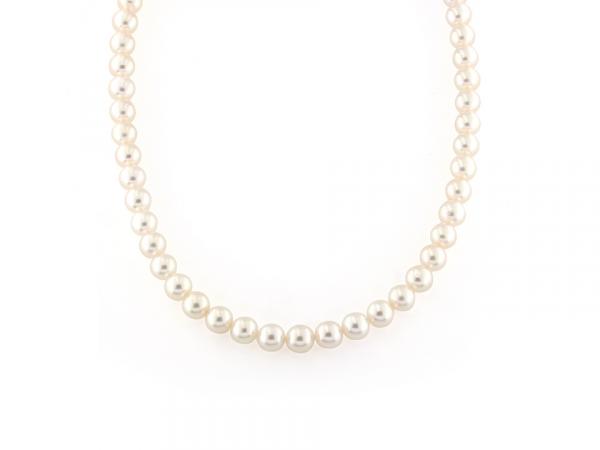 CF01094 - Filo di Perle Acqua Dolce da 5.5 mm