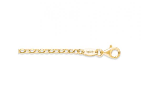 ERN-70-AG - Catena 70 cm Argento Placcato Oro Giallo