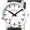 MONDAINE WATCH