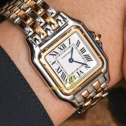 Panthere Acciaio E Oro 18kt