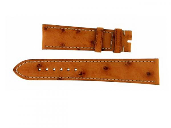 CIN185 - Eberhard Struzzo Aquadate 21mm Marrone