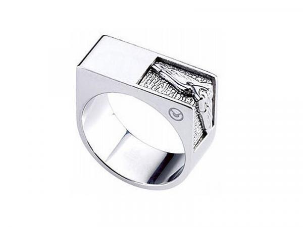 S030J11A - Anello Sector TECH